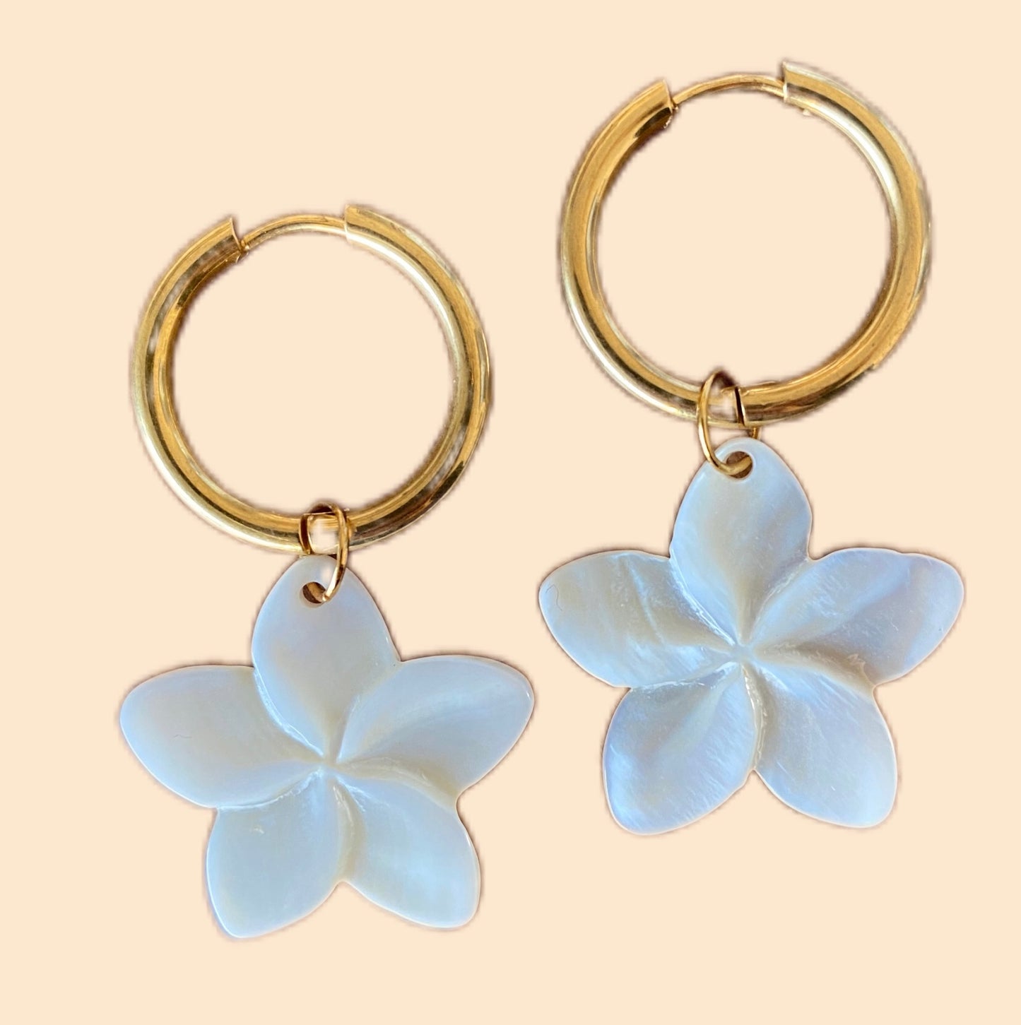 Boucles d’oreilles naturelles
