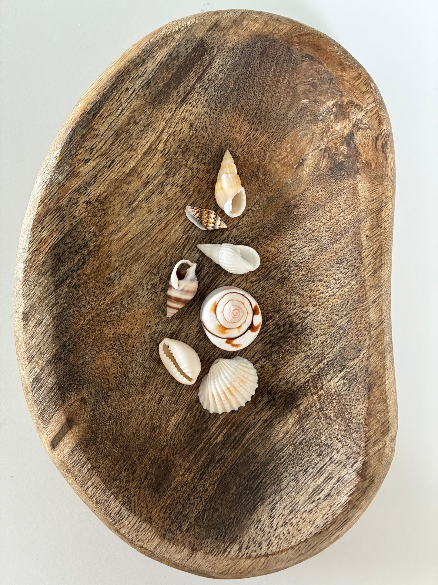 Coquillages et crustacés
