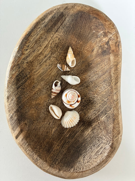 Coquillages et crustacés