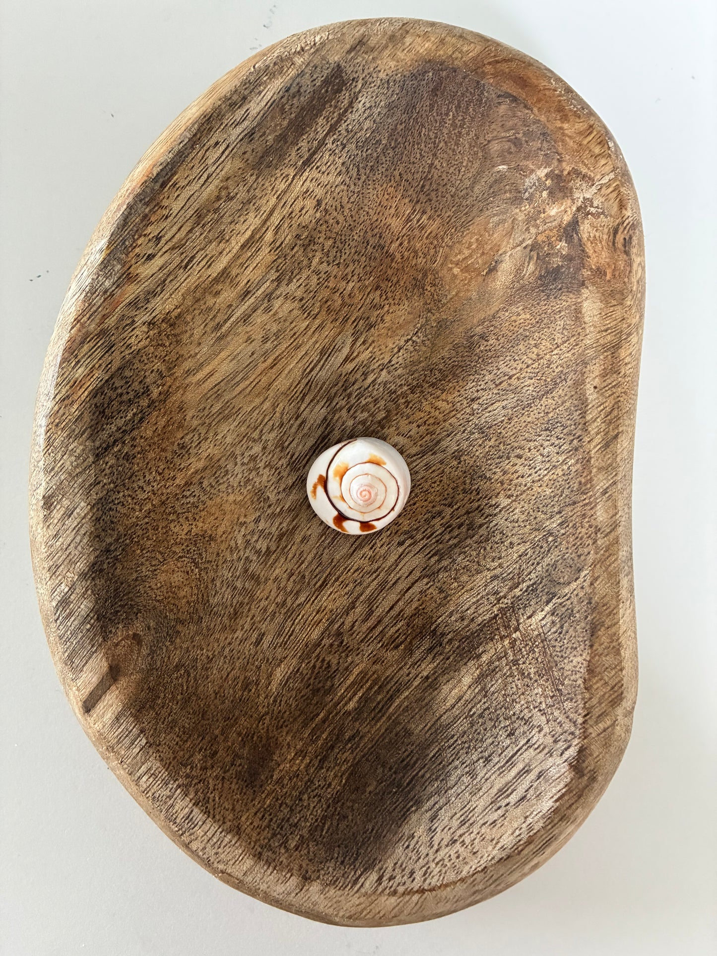 Coquillages et crustacés