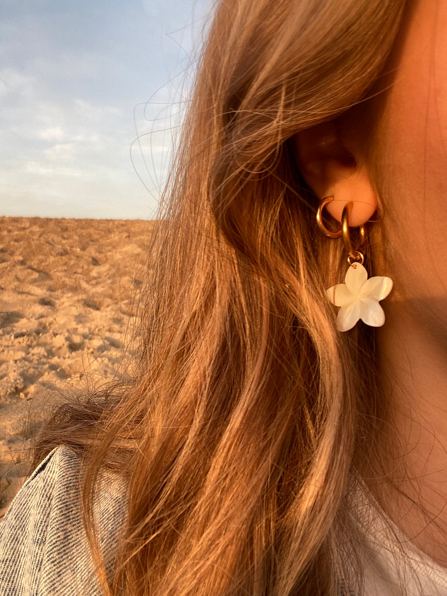 Boucles d’oreilles naturelles argent