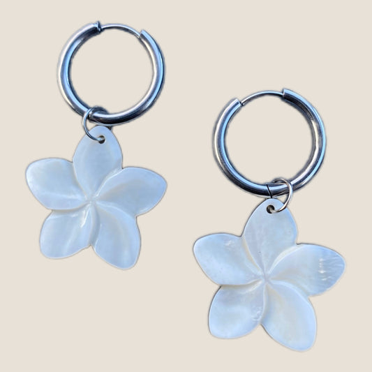 Boucles d’oreilles naturelles argent